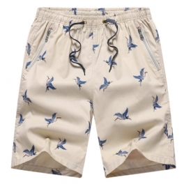 Bomullsshorts Herr Summer Five Points Thin Beach Lös Casual