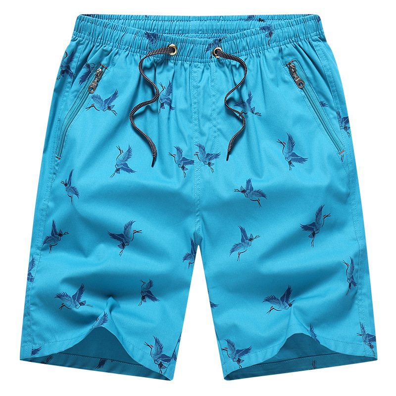 Bomullsshorts Herr Summer Five Points Thin Beach Lös Casual