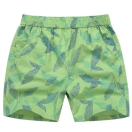 Herrshorts Home Four Points Loose Beach Sports